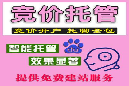 托管SEM竞价实战案例分析